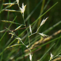 ECOstyle Terra Fertiel 25 Kg