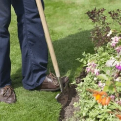 De Wiltfang RHS Graskantensteker -Plantenzadenwinkel image 189