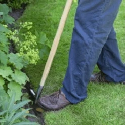 De Wiltfang RHS Graskantensteker -Plantenzadenwinkel image 191
