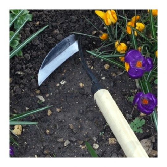 Burgon & Ball RHS Schrepel 12 Cm (koolstofstaal) 2 Burgon & Ball RHS Schrepel 12 Cm (koolstofstaal) - Afbeelding 2