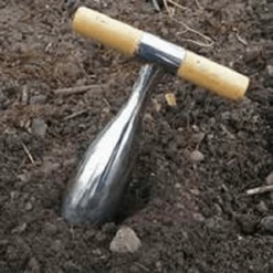 De Wiltfang RHS Pootstok 9 De Wiltfang RHS Pootstok -Plantenzadenwinkel image 248