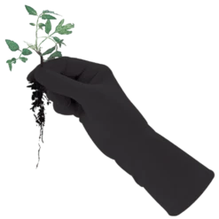 Plantenzadenwinkel -Plantenzadenwinkel image 254