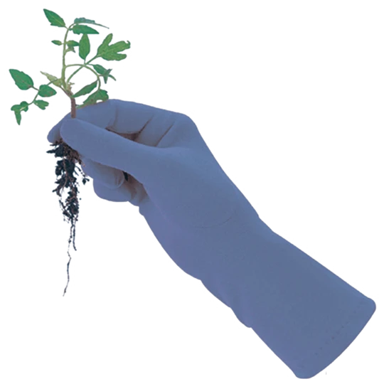 De Wiltfang Foxgloves Original 5 De Wiltfang Foxgloves Original - Afbeelding 5