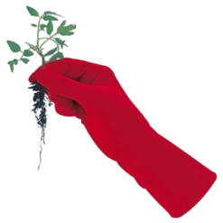 De Wiltfang Foxgloves Original 15 De Wiltfang Foxgloves Original -Plantenzadenwinkel image 258