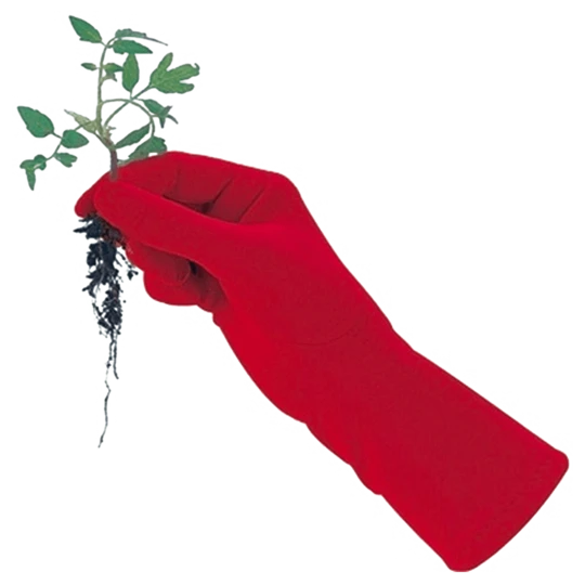 De Wiltfang Foxgloves Original 6 De Wiltfang Foxgloves Original - Afbeelding 6