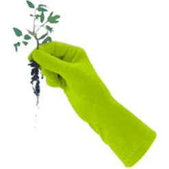 De Wiltfang Foxgloves Original 16 De Wiltfang Foxgloves Original -Plantenzadenwinkel image 259