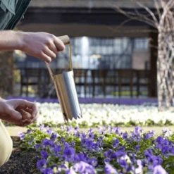 De Wiltfang RHS Bollenpriem, Handmodel -Plantenzadenwinkel image 274